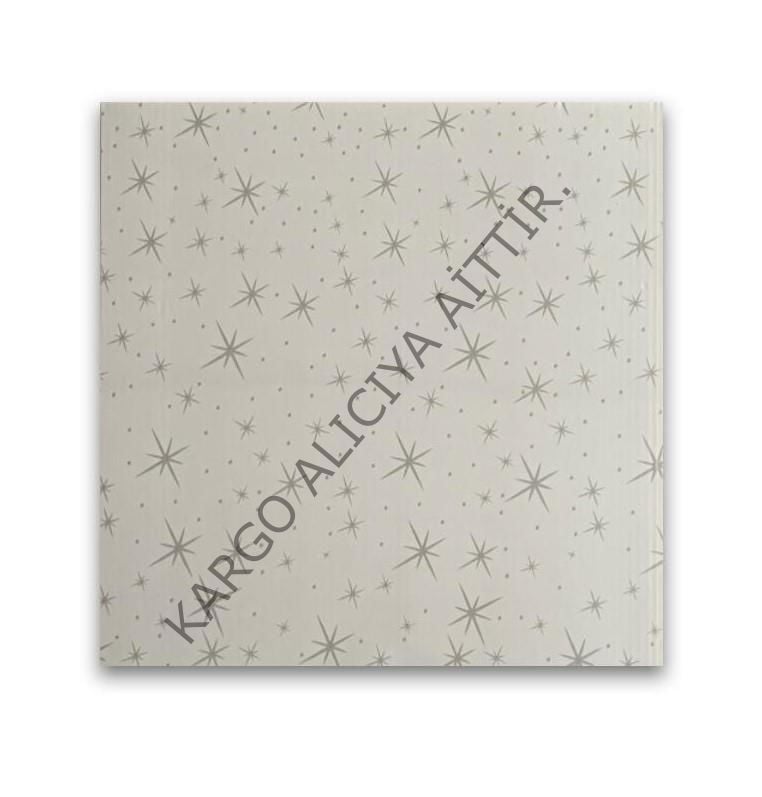 Piyadan 60×60 Plastik T. Pnl(Mat Yıldızlı 7,20 PK)