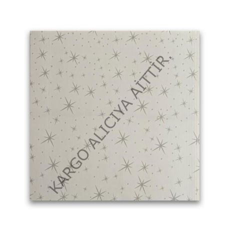 Piyadan 60×60 Plastik T. Pnl(Mat Yıldızlı 7,20 PK)