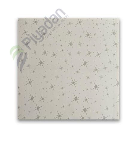 Piyadan 60×60 Plastik T. Pnl(Mat Yıldızlı 7,20 PK)