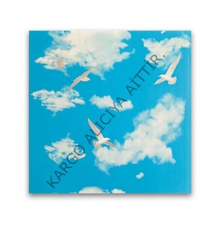 Piyadan 60×60 Plastik Panel Tavan(Bulut7,20m2/Pkt)