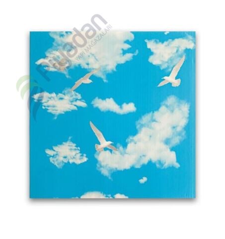 Piyadan 60×60 Plastik Panel Tavan(Bulut7,20m2/Pkt)