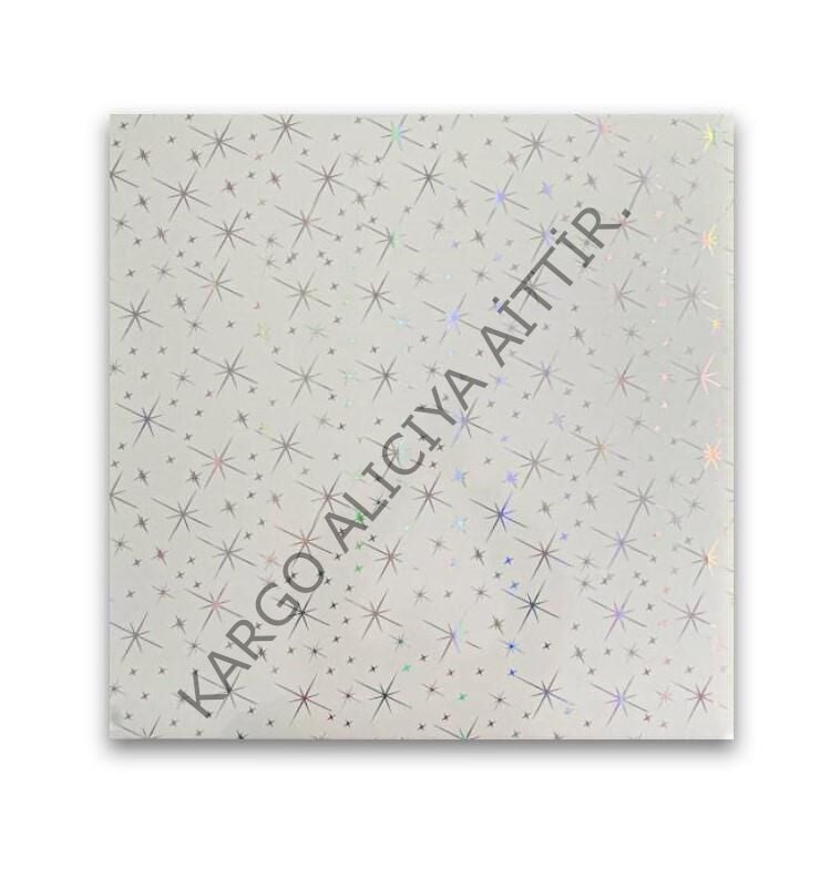Piyadan 60×60 Plastik Tavan Panl(Yıldızlı 7,20 PK)