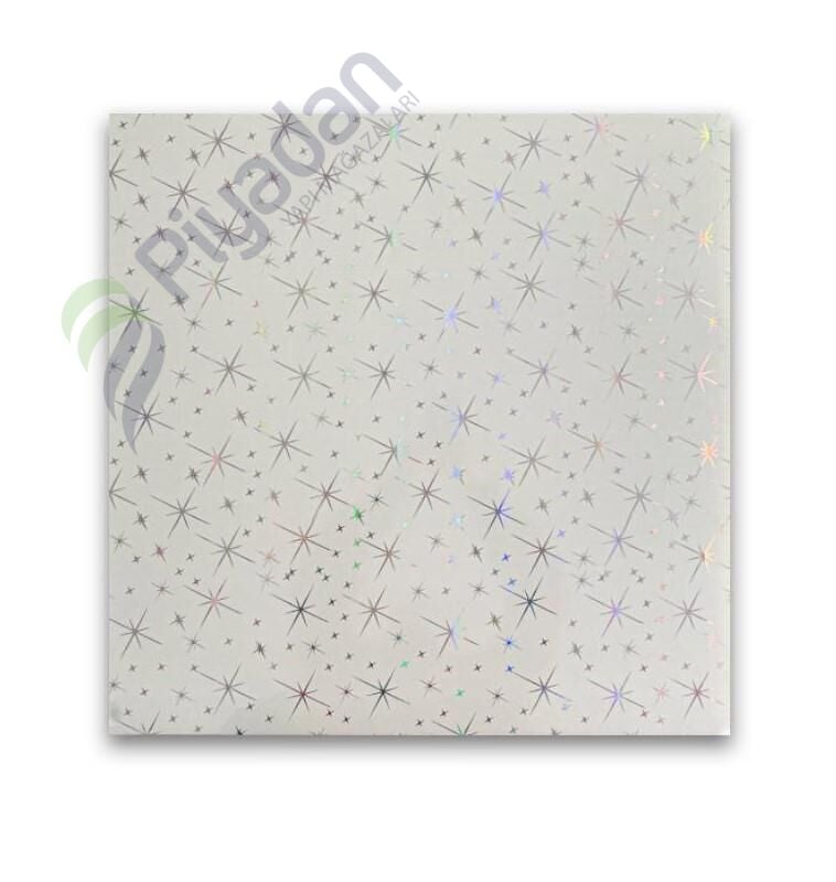 Piyadan 60×60 Plastik Tavan Panl(Yıldızlı 7,20 PK)