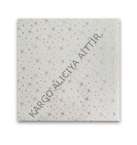 Piyadan 60×60 Plastik Tavan Panl(Yıldızlı 7,20 PK)