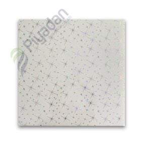 Piyadan 60×60 Plastik Tavan Panl(Yıldızlı 7,20 PK)