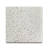 Piyadan 60×60 Plastik Tavan Panl(Yıldızlı 7,20 PK)