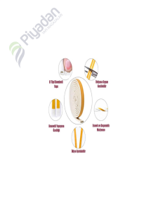 Std Kapı Pencere Bantı (Fitil Bant) Beyaz 8*5Mm